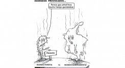 Incendios provocados