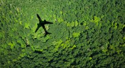 La alianza con Siemens, forma parte del programa 1+1 Compensar para Conservar de LATAM Airlines. / Foto: Cortesía