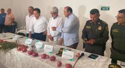 Cebolleros en Norte de Santander