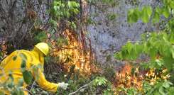 Según Corponor, entre 80 y 90 por ciento de los incendios forestales inician en quemas controladas.