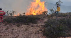 Incendios forestales