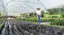 En los últimos años, Bancamía ha desembolsado más de $21.100 millones en 6.600 microcréditos verdes. / Foto: Cortesía 