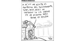 Caricatura