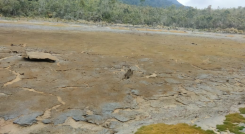 La Laguna Agua Negra en el municipio de Ragonvalia permanece seca por presencia del fenómeno de El Niño
