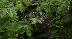Las disidencias de las Farc tienen gran presencia en la región Catatumbo. 
