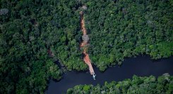El Amazonas es llamado 'El pulmón del mundo', porque provee el 20% del oxígeno a todo el planeta tierra. / Foto: Archivo