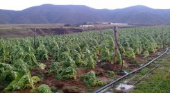 Campesinos reciben capacitación sobre finanzas agropecuarias para mejorar las condiciones de vida./ Foto cortesía