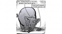 Existencia política