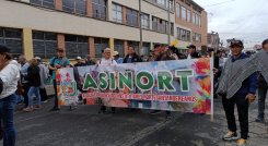 Desde el 12 de junio, los docentes anunciaron que estarían en paro indefinido. Esta fue parte de la marcha en Bogotá. / Foto: Cortesía / La Opinión 