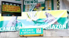 Letrero bucaramanga  campeón