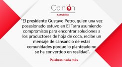 Palabras nada más