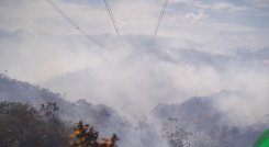 Incendio en Ocaña 