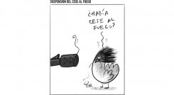 Suspensión del cese al fuego