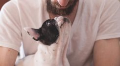 Un estudio piloto comprueba cómo el olor del estrés humano afecta al aprendizaje y al estado emocional de los perros, que recoge la revista Scientific Reports.