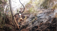 Importantes pérdidas de ecosistema se registran en Norte de Santander por cuenta de  más de 100 incendios. 