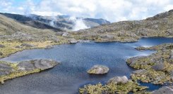 Páramo Santurbán surte de agua a municipios de Santander y Norte de Santander./Foto archivo
