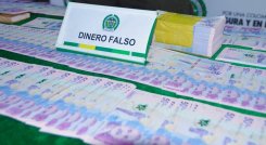 dinero falso