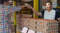 Avícolas afectadas por paro camionero, esto sucede con los huevos en Cúcuta