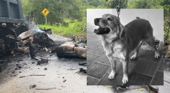Ataque explosivo en Bolivar