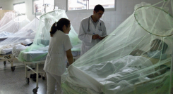 El contagio de dengue registra un repunte histórico en Colombia este año. 