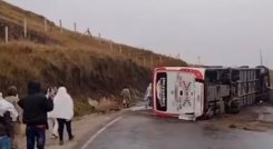 Bus Copetran