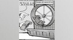 Caricatura del domingo 1 de diciembre del 2024