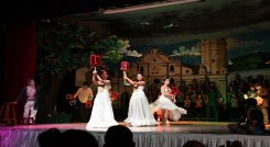 Como un regalo de Navidad la Escuela de Cultura y Bellas Artes de Ocaña ofrece un musical de fin de año.