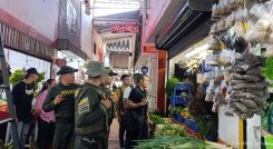 Autoridades ambientales adelantan operativos para controlar el uso de elementos naturales en la Navidad.