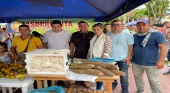 Un paso trascendental da los cultivadores de yuca con los procesos industriales para conquistar mercados.