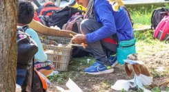 Los rostros de la violencia. / Foto: Cortesía / La Opinión