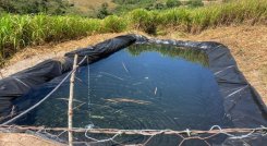 También se adelantan programas encaminados a tener cultivos libre de agroquímicos./ Foto: Cortesía / La Opinión 