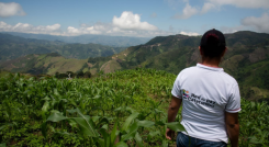 137 firmantes de paz han sido impactado por el conflicto en Norte de Santander.