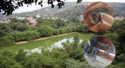 Boas Constrictoras en la laguna de oxidación