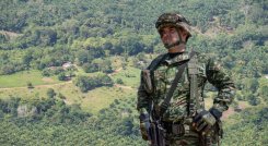 Ejército-combate-narcotrafico