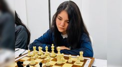 Ghisel ajedresista cucuteña
