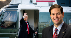 Marco Rubio- Donald Trump