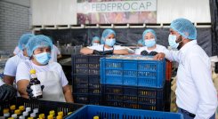Productores del Catatumbo. / Foto Cortesía