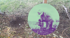 Mina antipersona campesino colombiano