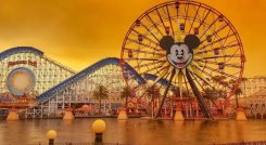 Disney. 