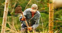 Empleo en el campo. / Foto Archivo