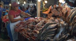 Venta de pescado. / Foto Nicolás Angarita-La Opinión