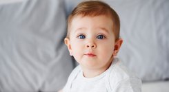 Bebe