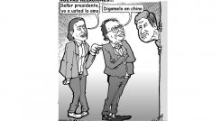 Caricatura-17-de-mayo