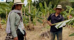Documental-campesinos