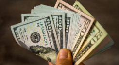Dolares