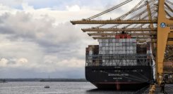 Incremento de exportaciones 