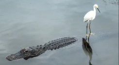 Florida. 