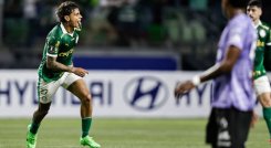 LIBERTADORES RIOS
