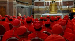 cardenales