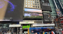 Bolivar brilla hoy en Times Square